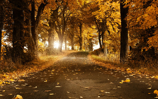 485800 (a): :2560x1600